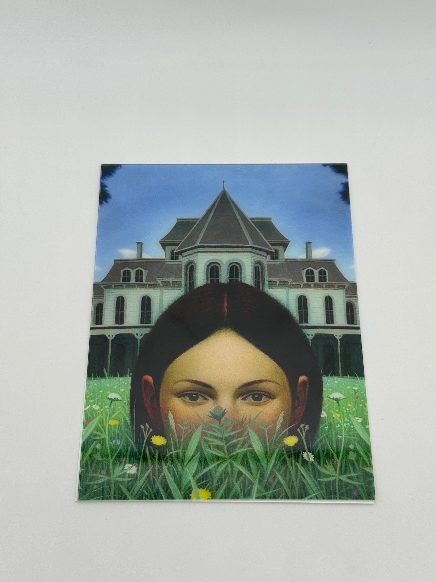 Matching N/S Haunting Of Hill House and We Have Always Lived in the Castle Centipede Press