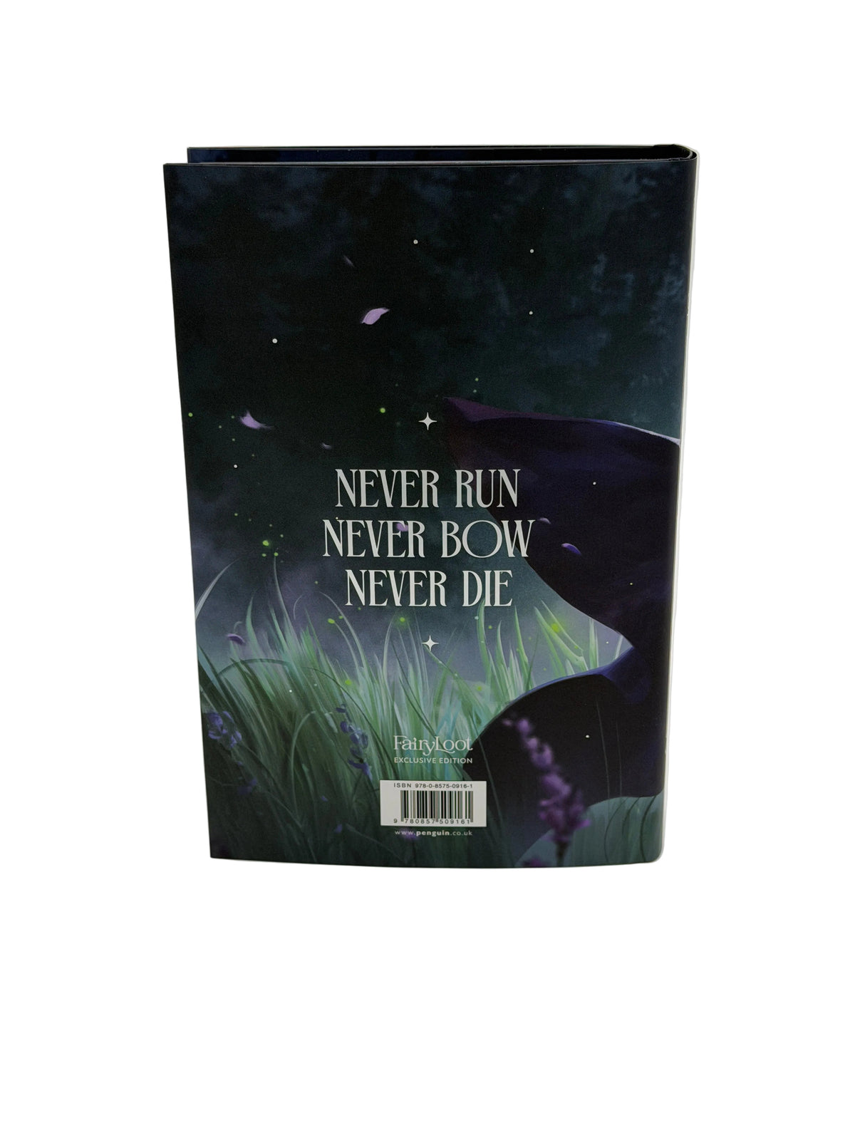 Steelborn — Taylor J. LaRue | FairyLoot Exclusive Edition