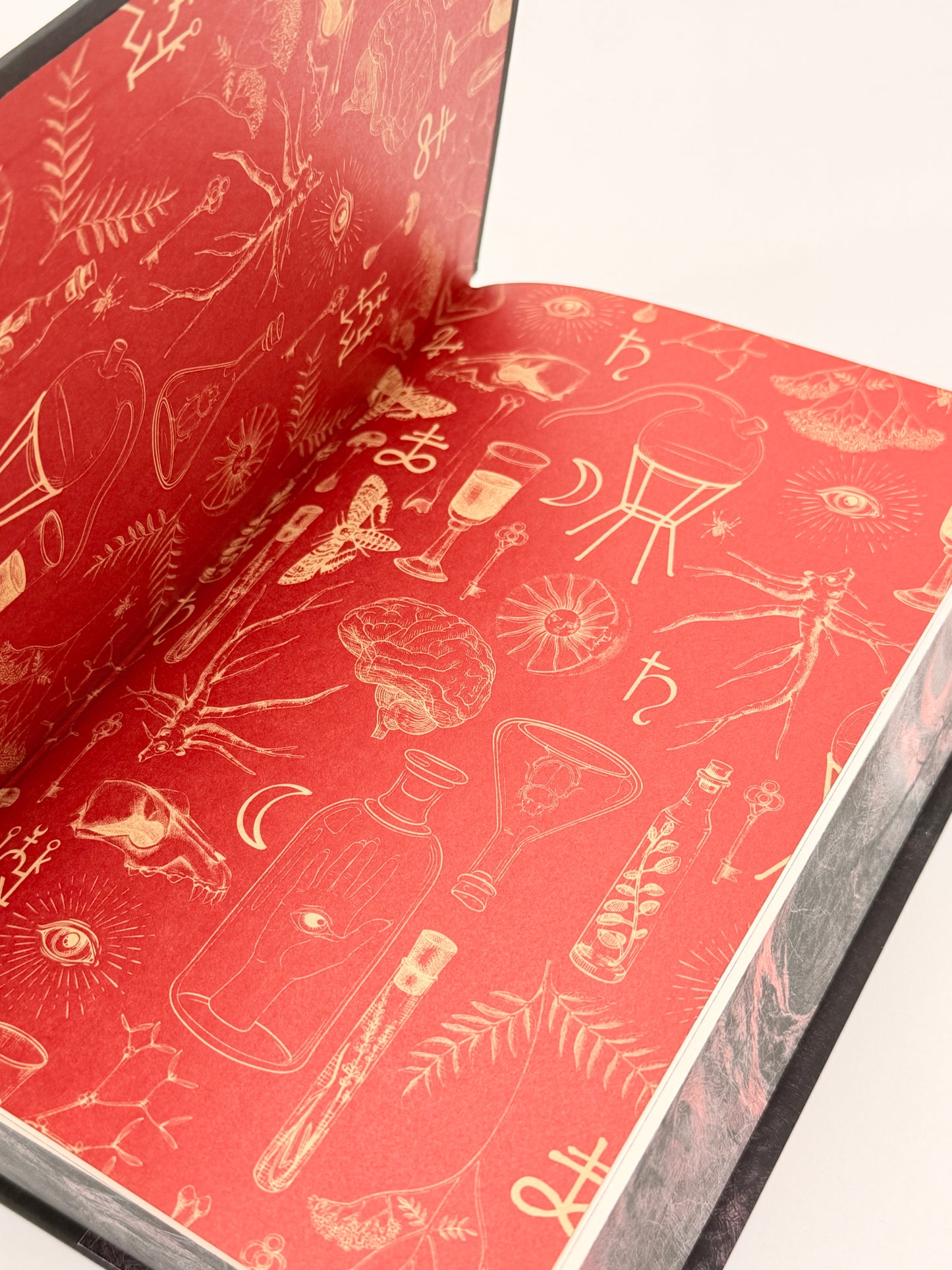 Alchemised by SenLinYu (B&N Exclusive Edition)