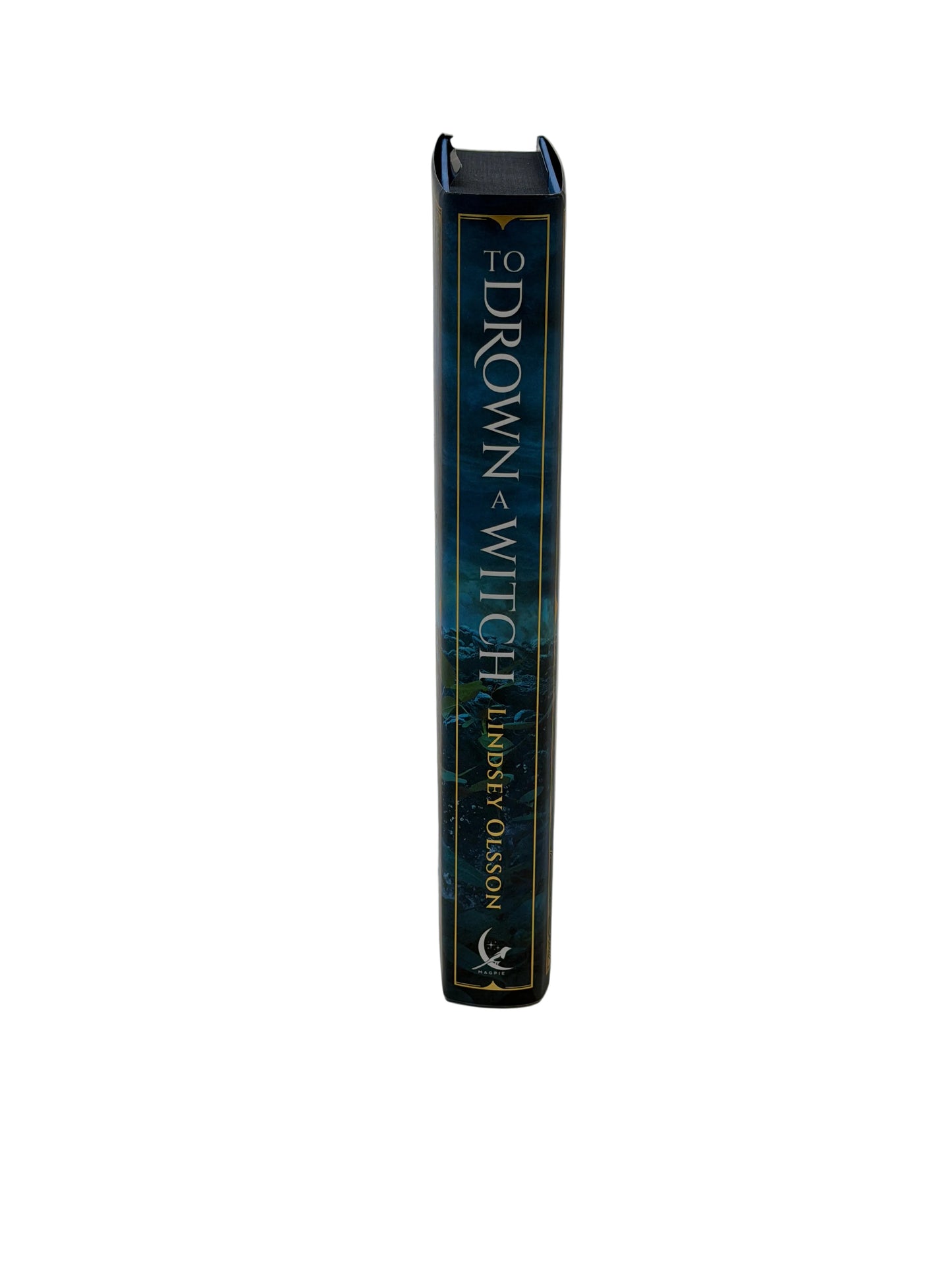 To Drown a Witch — Lindsey Olsson | FairyLoot Exclusive Edition
