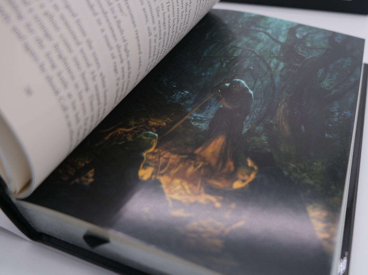The Scions of Shannara and The Druid and Elf Queen of Shannara S&N with RIGHTS Grim Oak Press