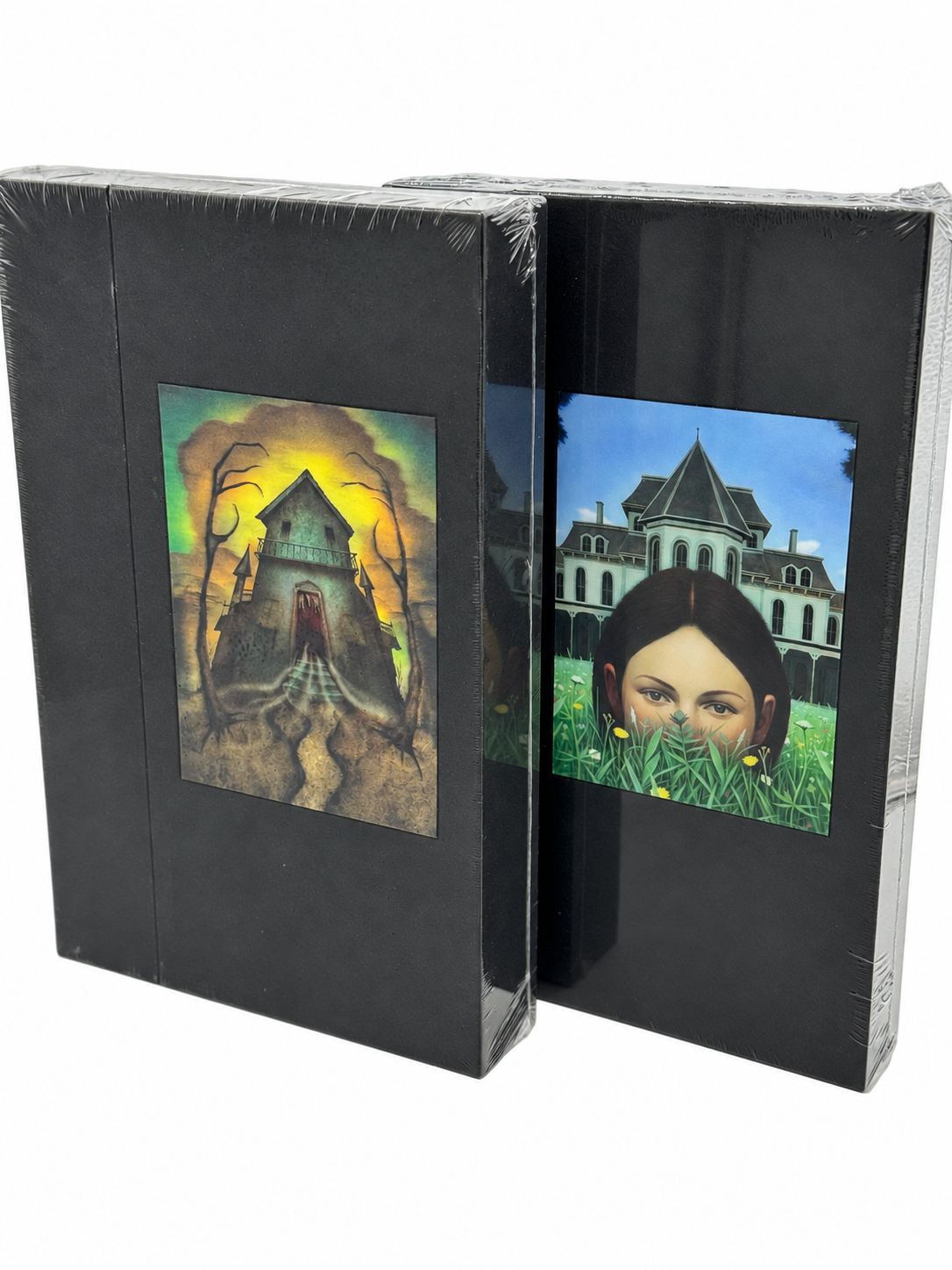 Shirley Jackson matching Centipede Press set, illustrated slipcases in plastic wrapping